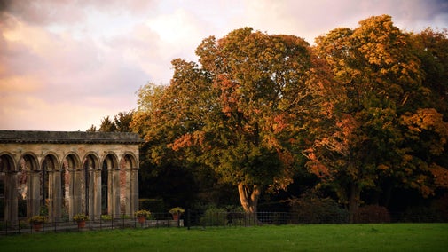 Autumn colours at Gibside, Tyne & Wear